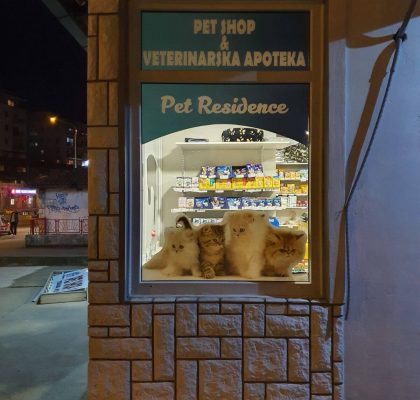 Pet Shop pvc folija